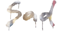Supporter Radio Theme Logo